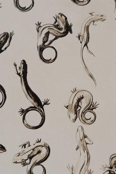 Mathurin MEHEUT : La Salamandre, Lithographie signée