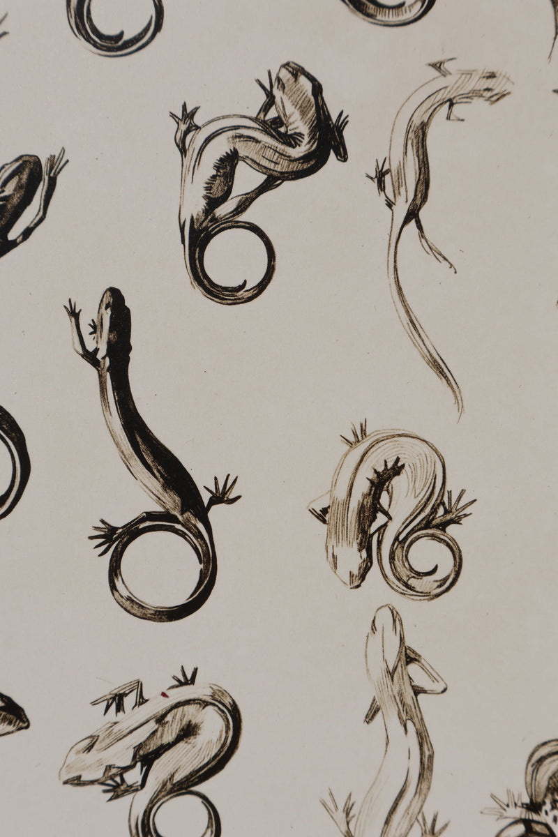 Mathurin MEHEUT : La Salamandre, Lithographie signée