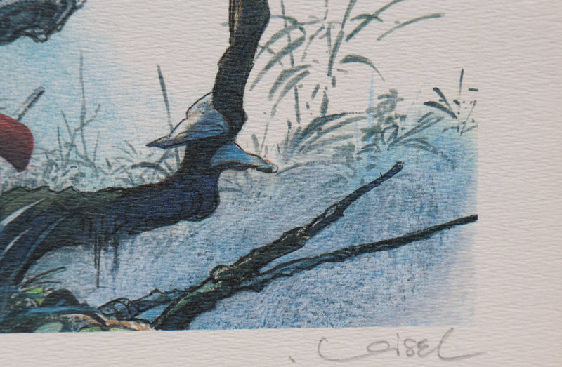 Régis LOISEL : Dans les bois, Ex libris signé