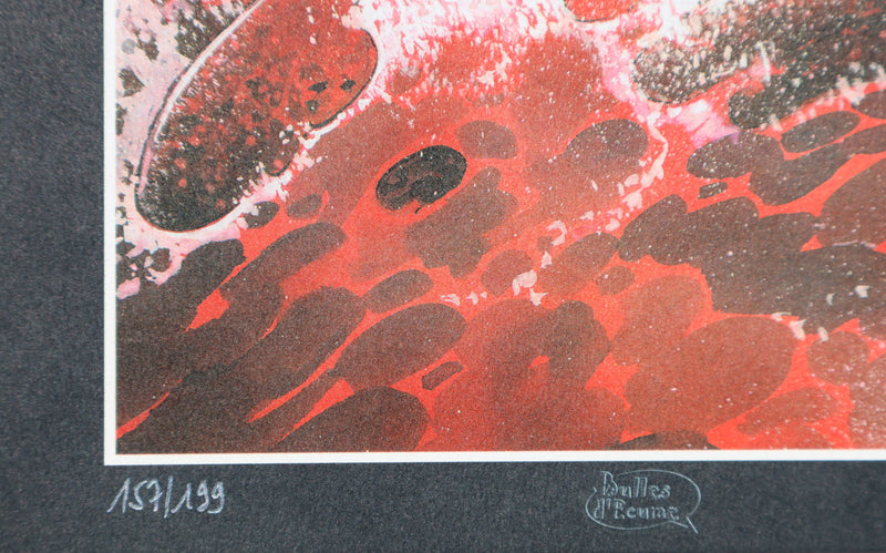 François BOURGEON : La Sirène Rouge, Ex libris signé