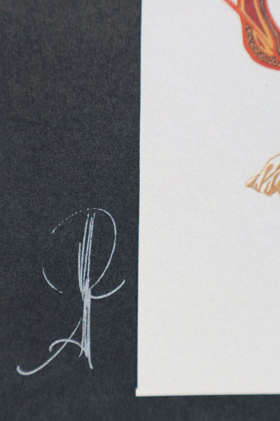 Alberto VARANDA : Reine d'Ambroisie, Ex libris signé