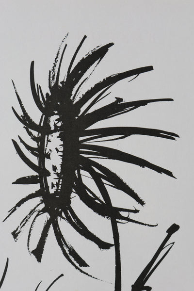 Bernard BUFFET: Die Sonnenblume, Original signierter Kupferstich