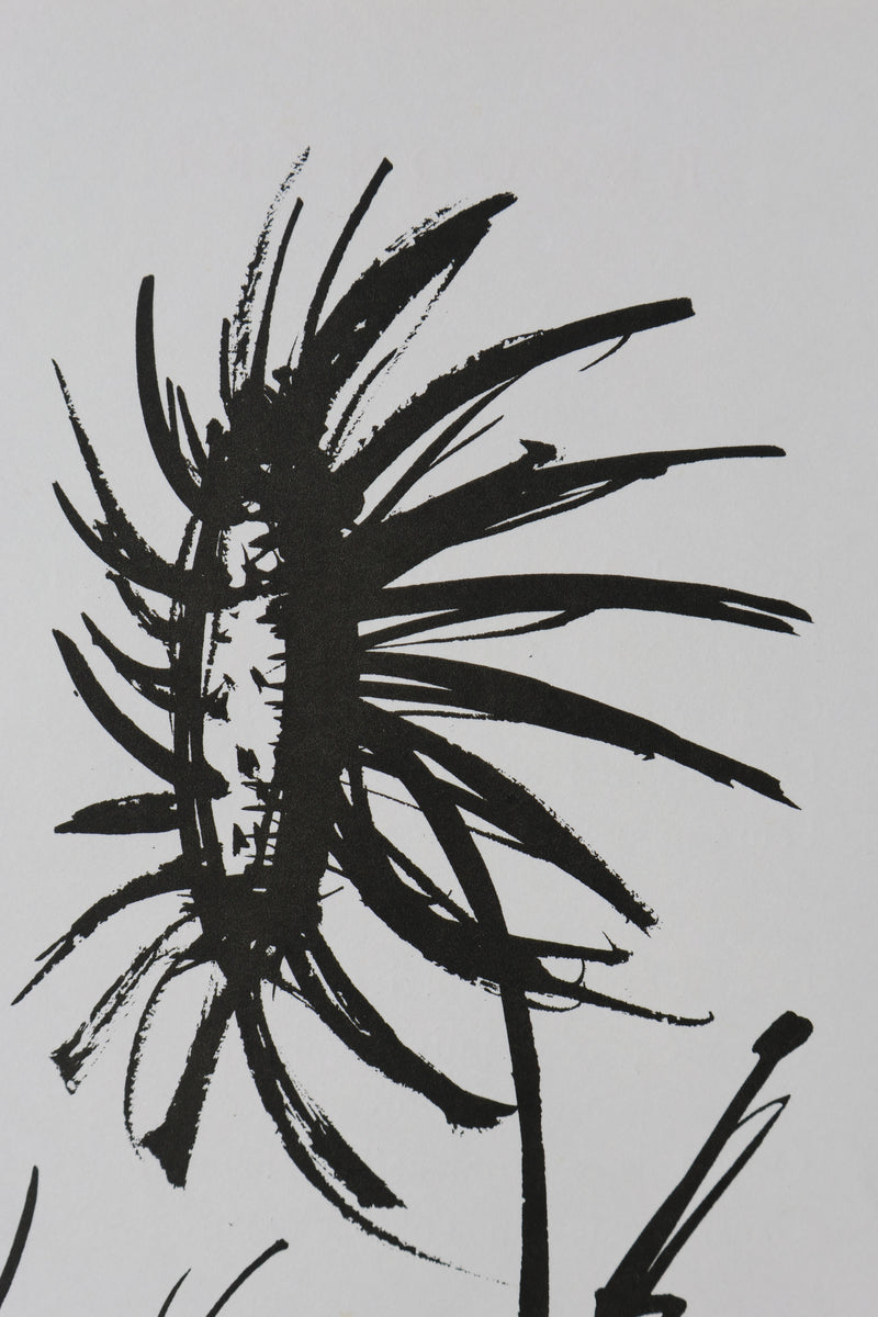Bernard BUFFET: Die Sonnenblume, Original signierter Kupferstich