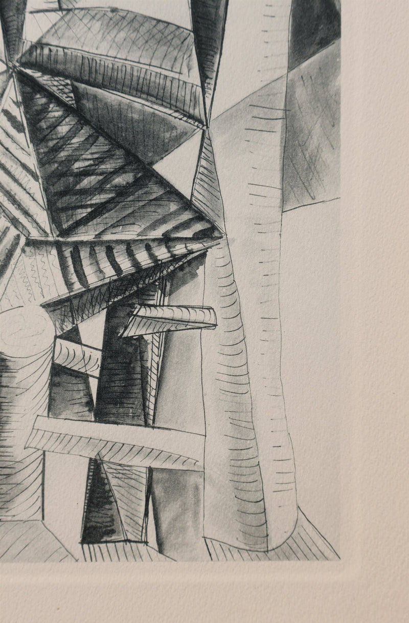 Pablo PICASSO : La Forêt Mystérieuse, Héliogravure