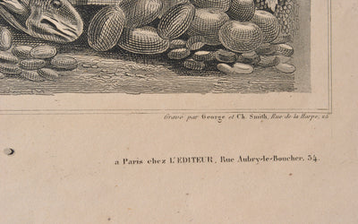 Victor LEVASSEUR : Carte ancienne de la Corse, Gravure originale (photo de détail 4) - Crédit photo : Galerie Art.Paris