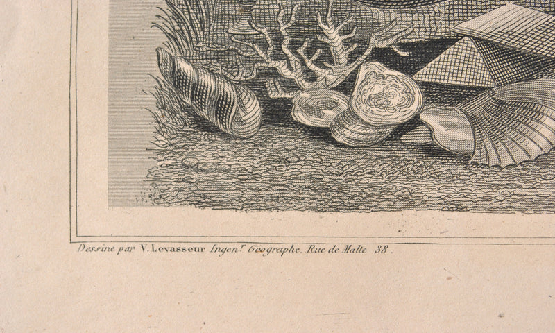 Victor LEVASSEUR : Carte ancienne de la Corse, Gravure originale (photo de détail 5) - Crédit photo : Galerie Art.Paris