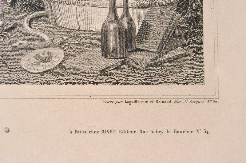 Victor LEVASSEUR : Carte ancienne du Rhône, Gravure originale (photo de détail 5) - Crédit photo : Galerie Art.Paris