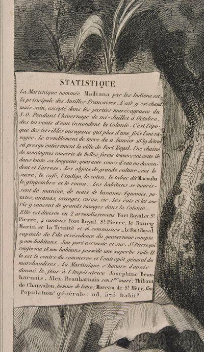 Victor LEVASSEUR : Carte ancienne de la Martinique, Gravure originale (photo de détail 6) - Crédit photo : Galerie Art.Paris