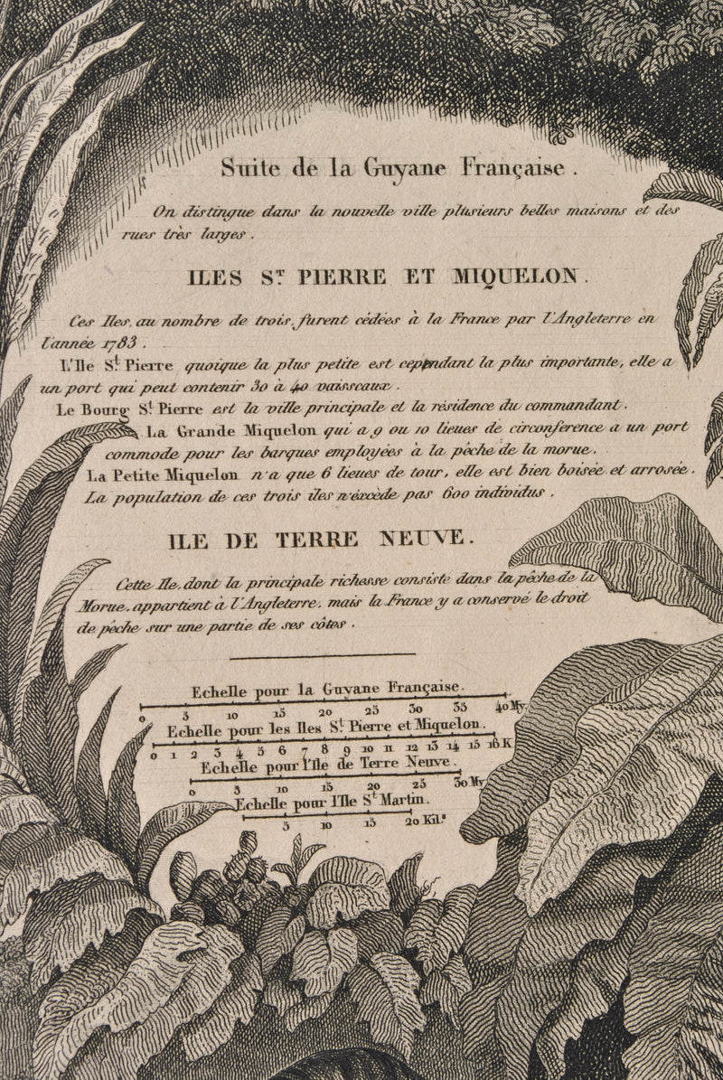 Victor LEVASSEUR : Carte ancienne des Colonies Françaises, Gravure originale (photo de détail 14) - Crédit photo : Galerie Art.Paris