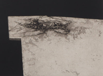 José HERNANDEZ: Gottesanbeterin, Original signierter Kupferstich