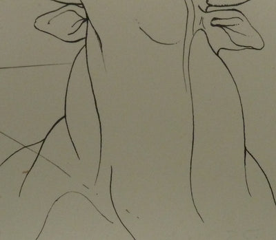 Pierre-Yves TREMOIS : Le taureau, Dessin original (photo de détail 5) - Crédit photo : Galerie Art.Paris