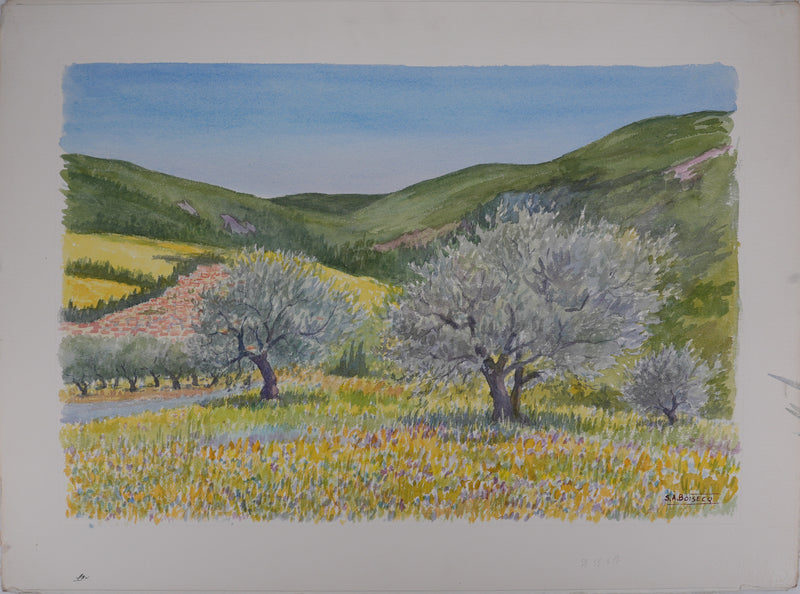 Salomon Alfred BOISECQ : Les oliviers, Aquarelle originale (vue générale) - Crédit photo : Galerie Art.Paris