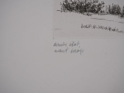 Salomon Alfred BOISECQ : Cabanons au bord du lac, Gravure originale signée