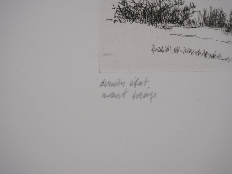 Salomon Alfred BOISECQ : Cabanons au bord du lac, Gravure originale signée