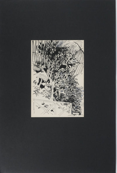Maurice GENIS : Le jardin aux palmiers, Dessin original signé