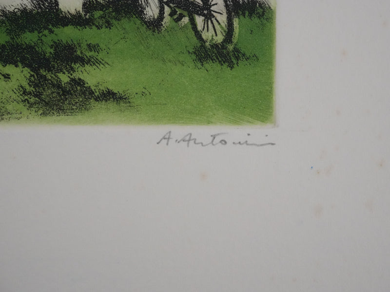 Annapia ANTONINI : Le jardin à la bicyclette, Gravure originale signée