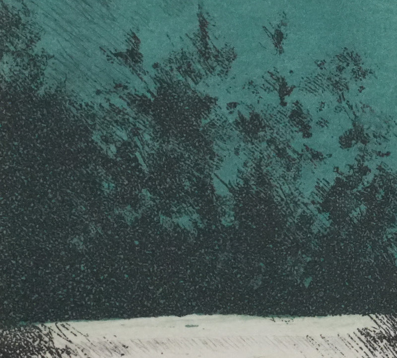 Annapia ANTONINI : Le jardin à la bicyclette, Gravure originale signée