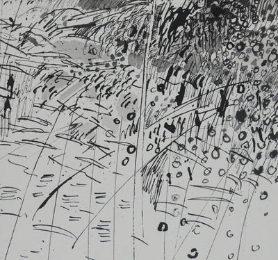 Maurice GENIS : Le champs fleuris, Dessin original signé