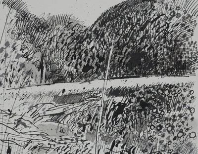 Maurice GENIS : Le champs fleuris, Dessin original signé