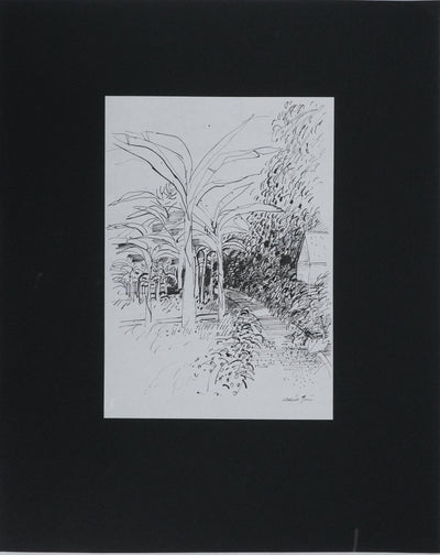 Maurice GENIS : L'allée des bananiers, Dessin original signé