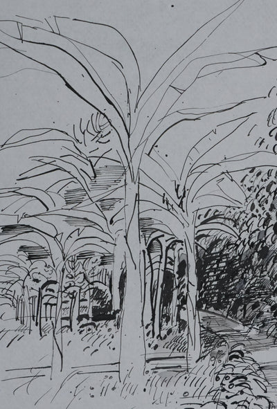 Maurice GENIS : L'allée des bananiers, Dessin original signé