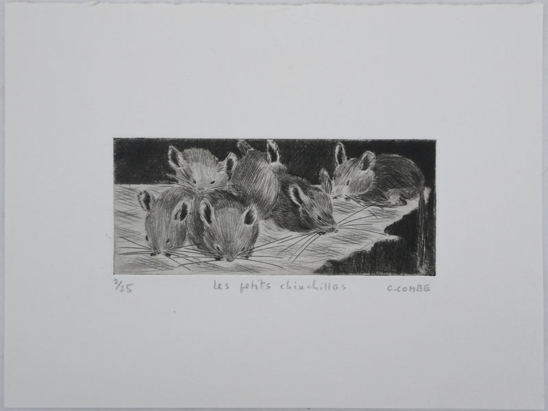 Camille COMBE : Les petits chinchillas, Gravure originale signée