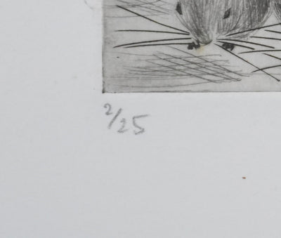 Camille COMBE : Les petits chinchillas, Gravure originale signée