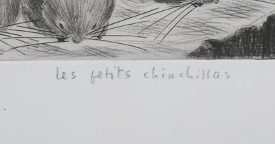 Camille COMBE : Les petits chinchillas, Gravure originale signée