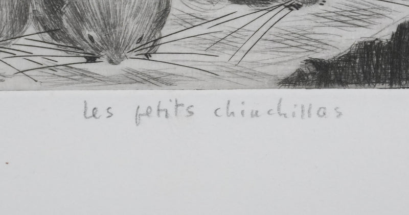 Camille COMBE : Les petits chinchillas, Gravure originale signée