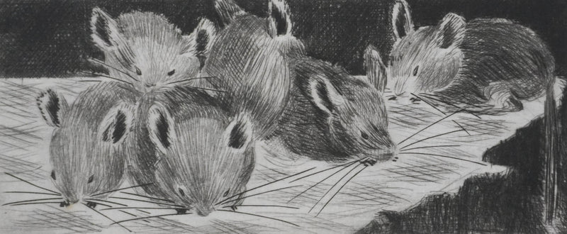 Camille COMBE : Les petits chinchillas, Gravure originale signée