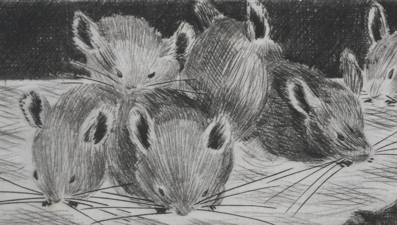Camille COMBE : Les petits chinchillas, Gravure originale signée