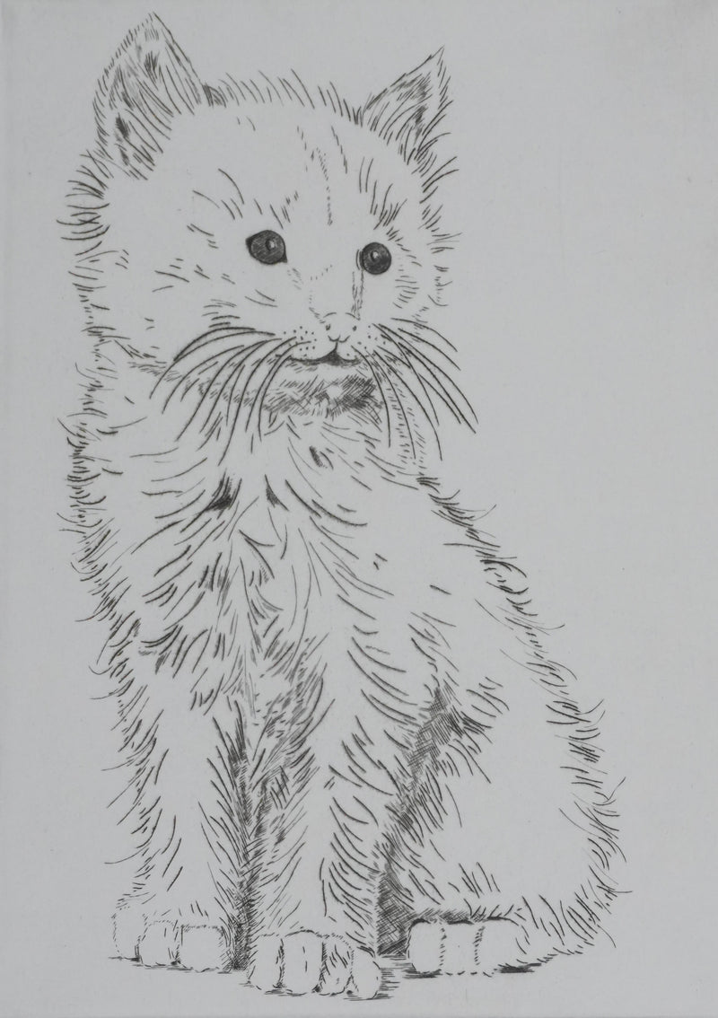 Camille COMBE : Le petit chat, Gravure originale signée