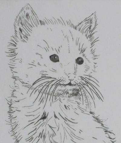 Camille COMBE : Le petit chat, Gravure originale signée