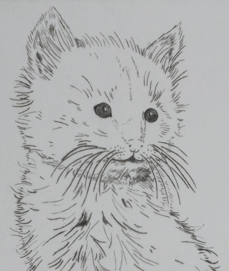 Camille COMBE : Le petit chat, Gravure originale signée
