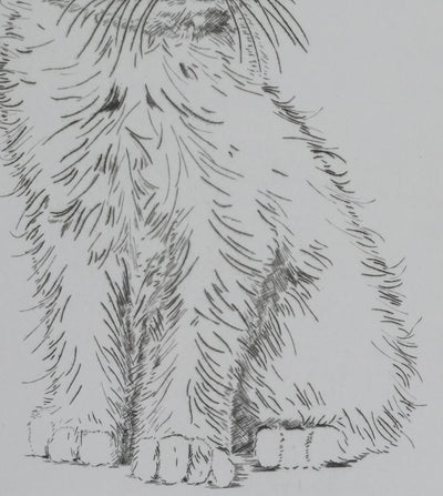 Camille COMBE : Le petit chat, Gravure originale signée