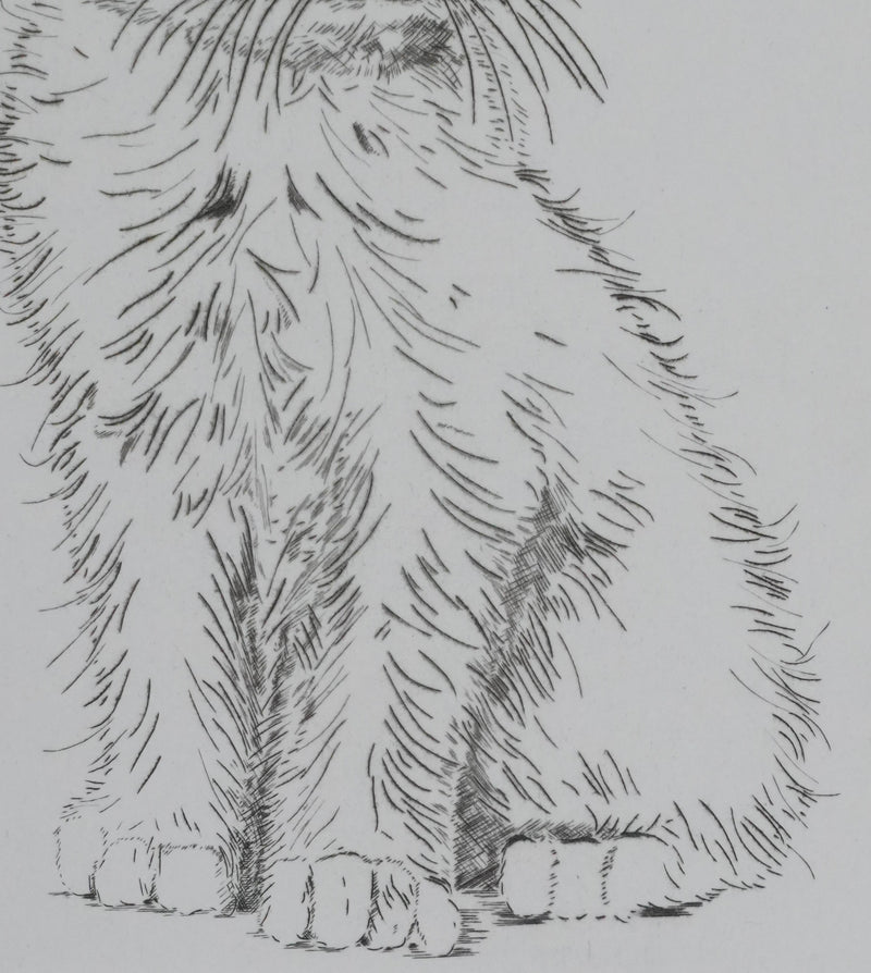 Camille COMBE : Le petit chat, Gravure originale signée
