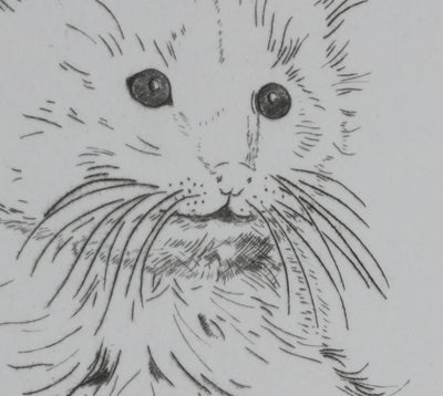 Camille COMBE : Le petit chat, Gravure originale signée