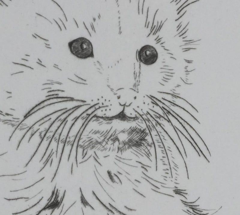 Camille COMBE : Le petit chat, Gravure originale signée