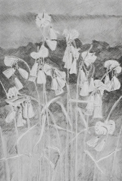 Camille COMBE : Grelots légers, Gravure originale signée