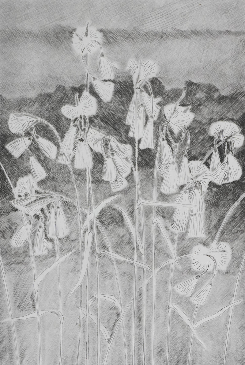 Camille COMBE : Grelots légers, Gravure originale signée