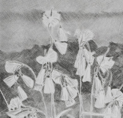 Camille COMBE : Grelots légers, Gravure originale signée