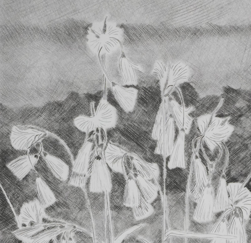 Camille COMBE : Grelots légers, Gravure originale signée