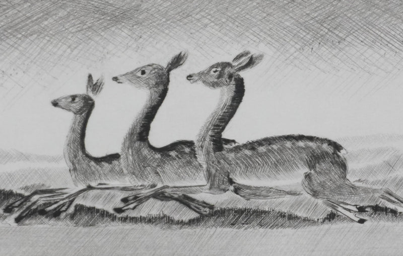 Camille COMBE : Quand bondissent les biches, Gravure originale signée