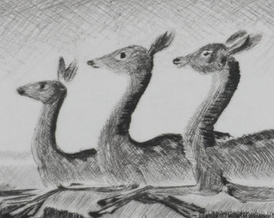 Camille COMBE : Quand bondissent les biches, Gravure originale signée