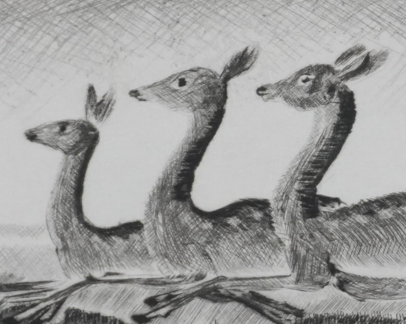 Camille COMBE : Quand bondissent les biches, Gravure originale signée