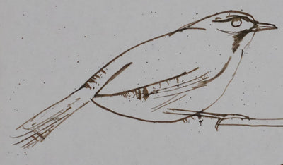 Maurice GENIS : Les petits moineaux, Dessin original signé