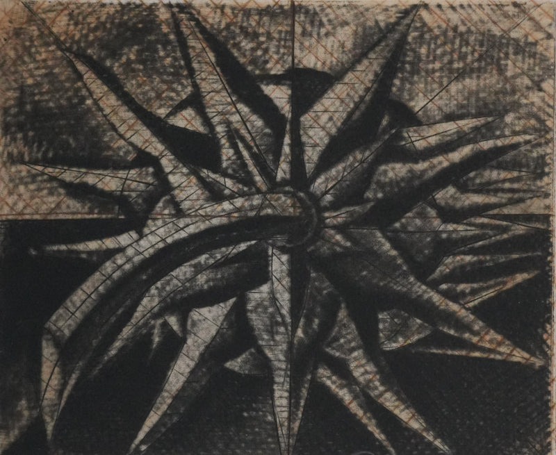 Brigitte COUDRAIN : La fleur fanée, Gravure originale signée