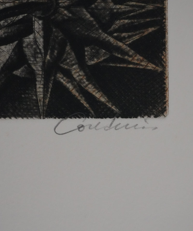 Brigitte COUDRAIN : La fleur fanée, Gravure originale signée