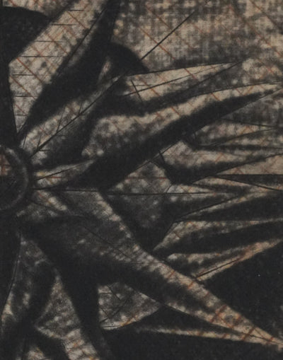 Brigitte COUDRAIN : La fleur fanée, Gravure originale signée