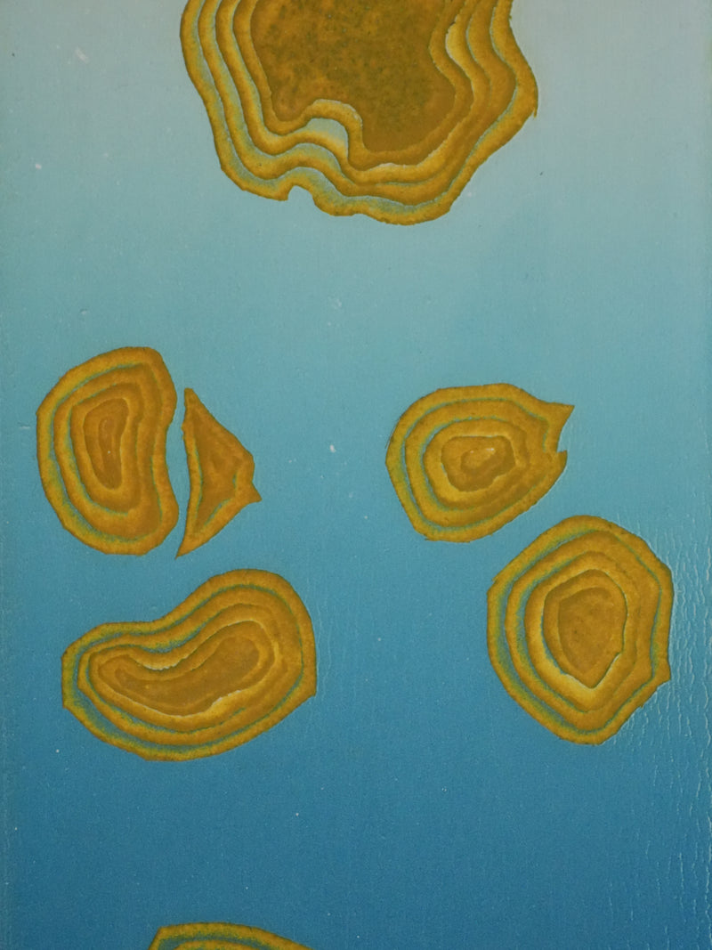 Roland DE LAFORCADE : Les îlots, Gravure originale signée